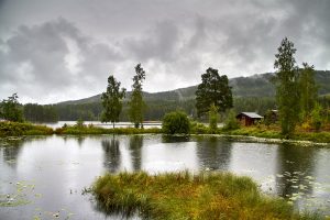 Skandinavientour - Landschaft im Värmland/Schweden Nähe Torsby