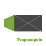 Trapezapsis